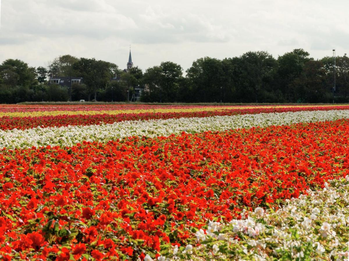 Apartment In Sint Maartensbrug With Garden エクステリア 写真
